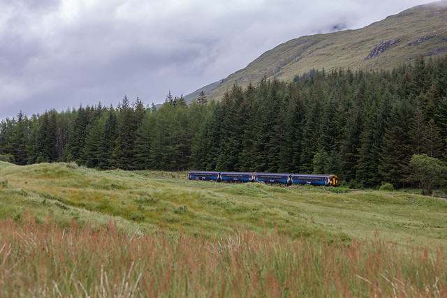 Sprinter, Glen Falloch