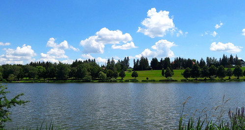 lake water summer sky clouds green nature trees