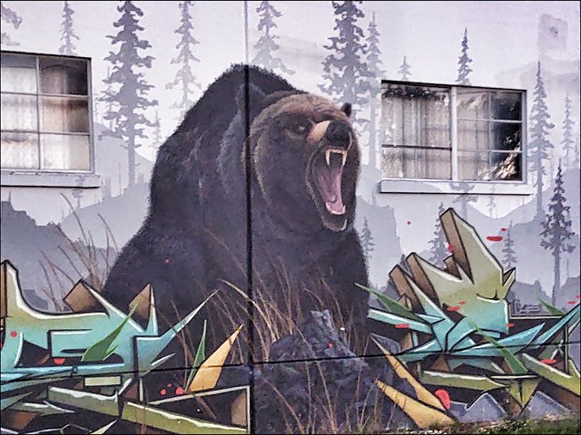 Bear Wall
