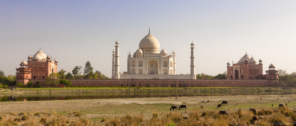 Le Taj Mahal vu depuis les rives de la Yamuna  - Taj Mahal, Agra, Inde