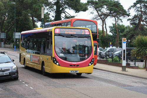 Yellow Buses 862 HF14BWP