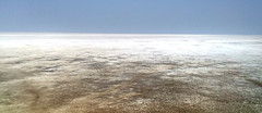 Great Rann of Kutch (salt pan in the Thar Desert) - India 3