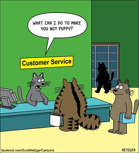 customer_service_cat