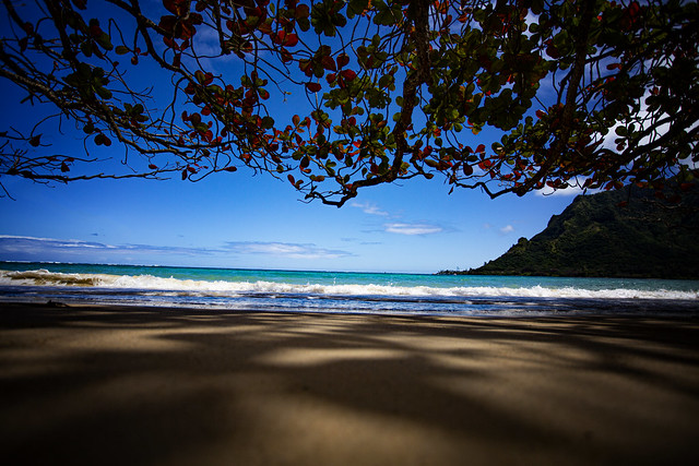 A Beautiful Oahu Beach
