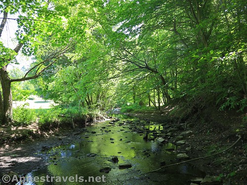 Mill Creek, Webster Park, New York