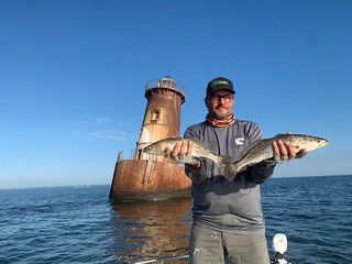 Photo of man holding two spotted sea trout