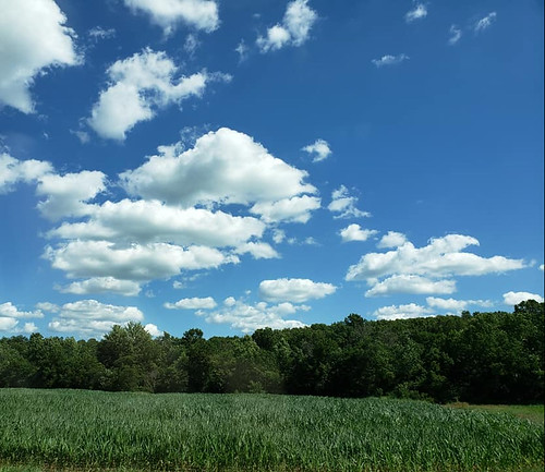2020 missouri ozarks sky clouds outdoor corn cornfield crop crops farm lacledecounty sleepermo sleeper auglaize rural scenic landscape