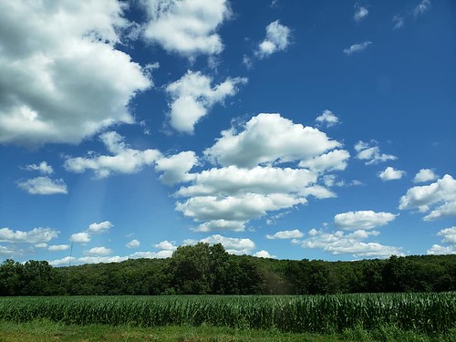 2020 missouri ozarks auglaize sleeper sleepermo lacledecounty midwest corn cornfield crop farm sky clouds scenic landscape outdoor rural auglaizetownship crops field trees