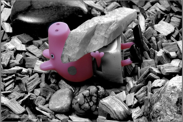Looking close on Friday, “ selective colour pink “.