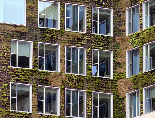 A green building in Amsterdam, Holland