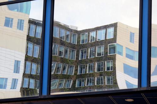 A green building reflection in Amsterdam, Holland