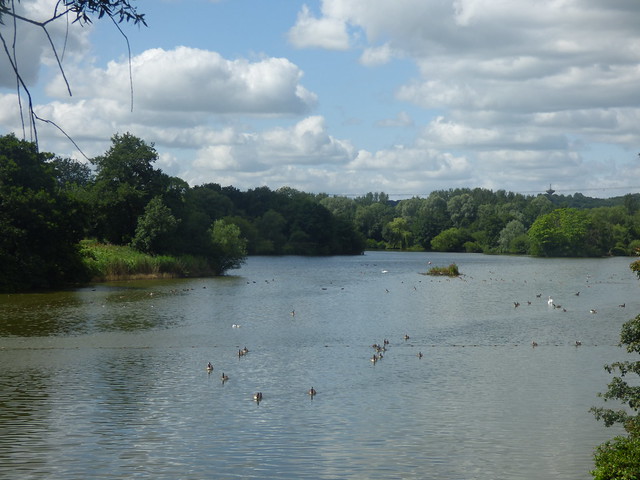 The lake at Arrow Valley Country Park