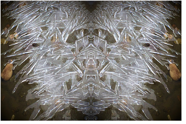 shards of ice butterfly reflection poem