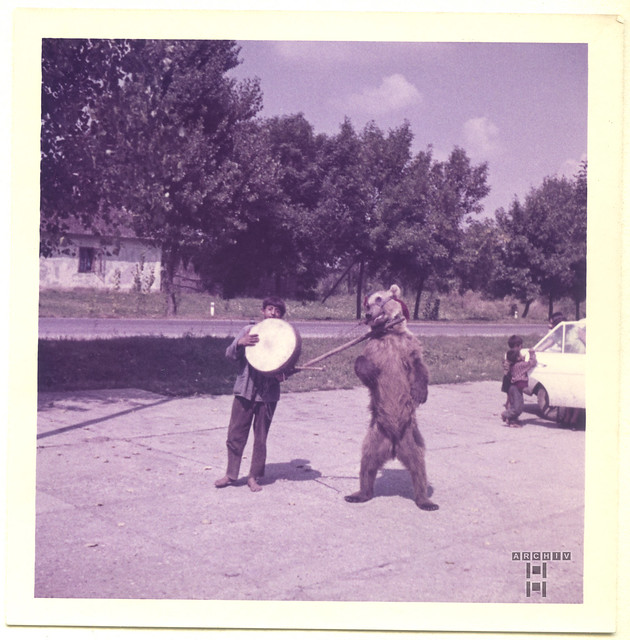 ArchivTappenX842 Album u, Zigeunerjunge mit Tanzbär, Wojwodina, Serbien, 1970er