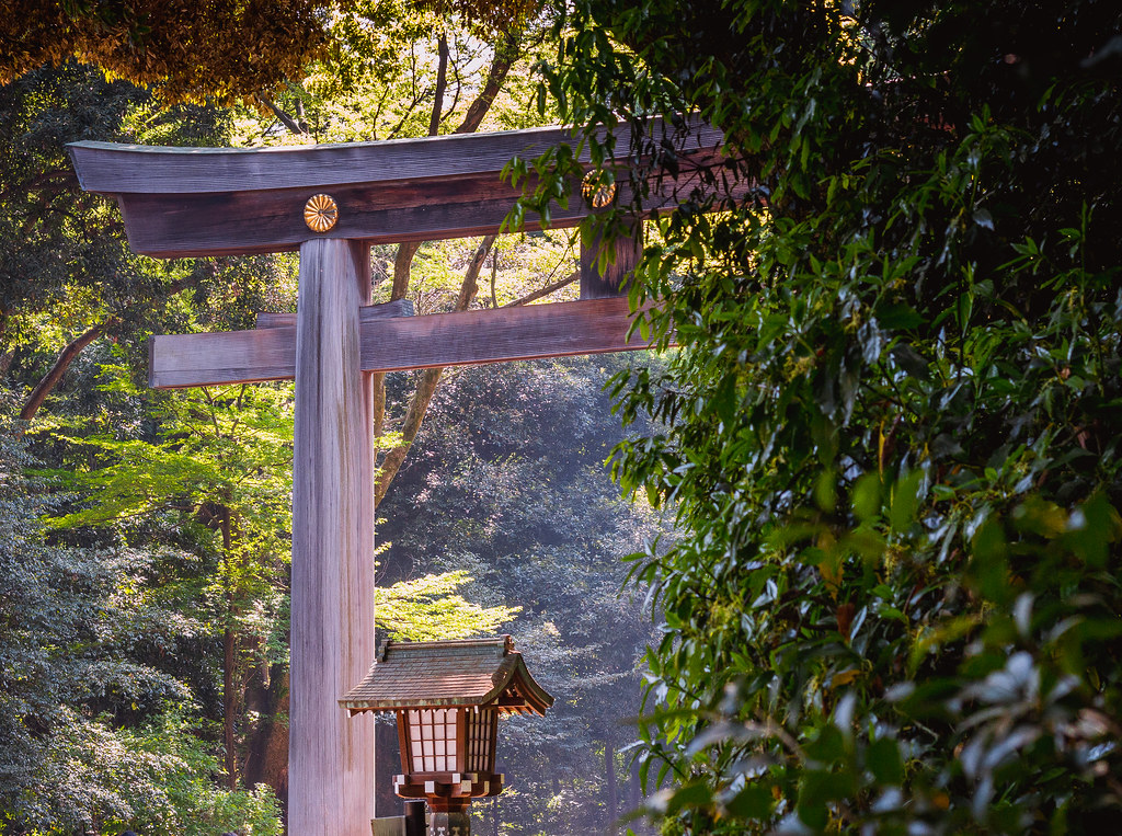 Torii Gate at Meiji Jingu Shrine, Tokyo