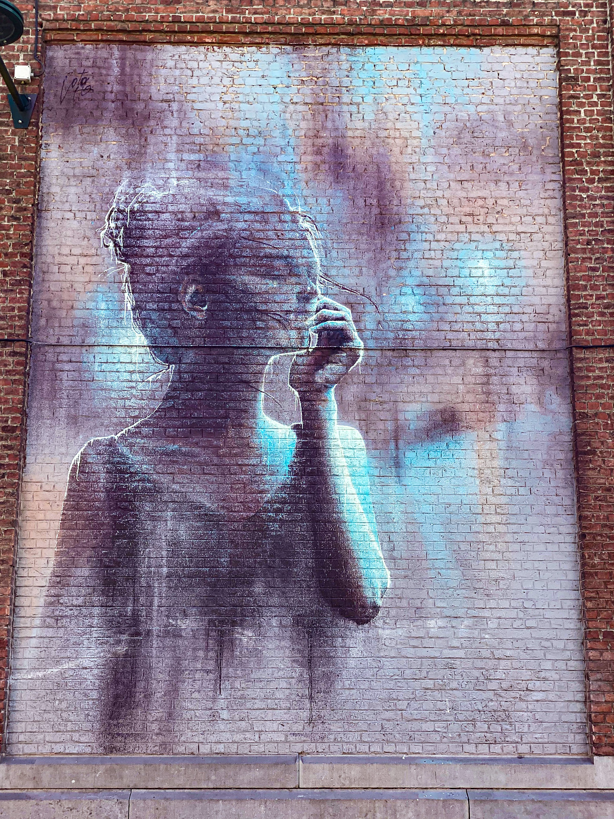 Street art mural by Dzia