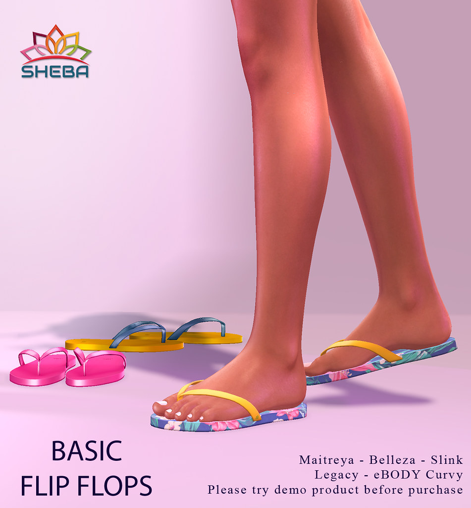 [Sheba] Basic flip flops