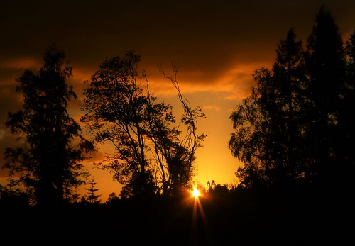 sun sunset silhouettes weather nature scotland trees cloud