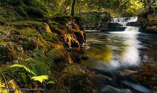 waterfall nature beautiful natural outdoor green environment waterfalls landscape scenic welshwaterfall united kingdom river waterfallwithrocks cascade flowing water rock stream flow forest breconbeacons waterfallcountry wild motion stone southwales neath pontneddfechan brown travel tree trees wet fall peaceful pool tranquil spring light summer welsh outdoors tourism tourist canon1740mml canon canon5dmarkiv filter leefilters circularpolarizer lightroom6