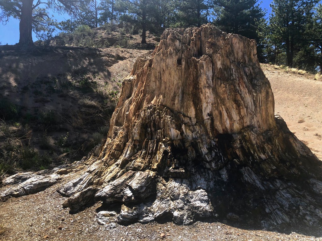 Boulder Creek Trail