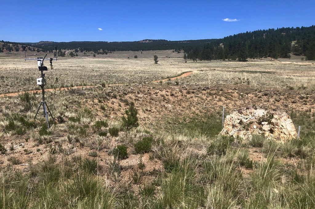 Sawmill-Boulder Trail