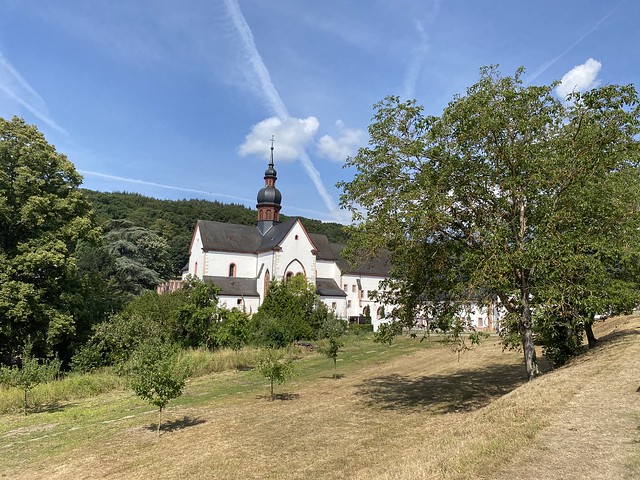 Rheingau - Juli 2020