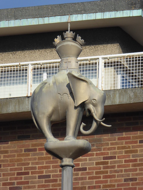 Elephant, Coventry