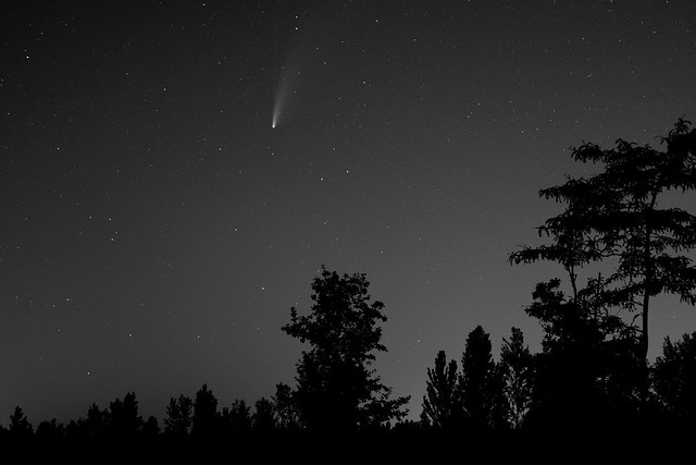 Comete NEOWISE