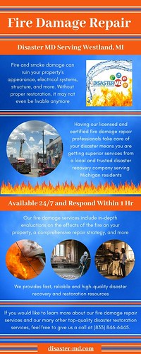 Residential & Commercial Fire Damage Cleanup in Westland