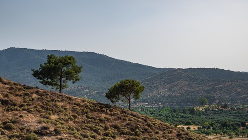 hill tree trees vegetation summer drought cyprus landscape layers nopeople outside outdoors village troodos mountain mountains troodosmountains flasou fujifilm xt100 sky day