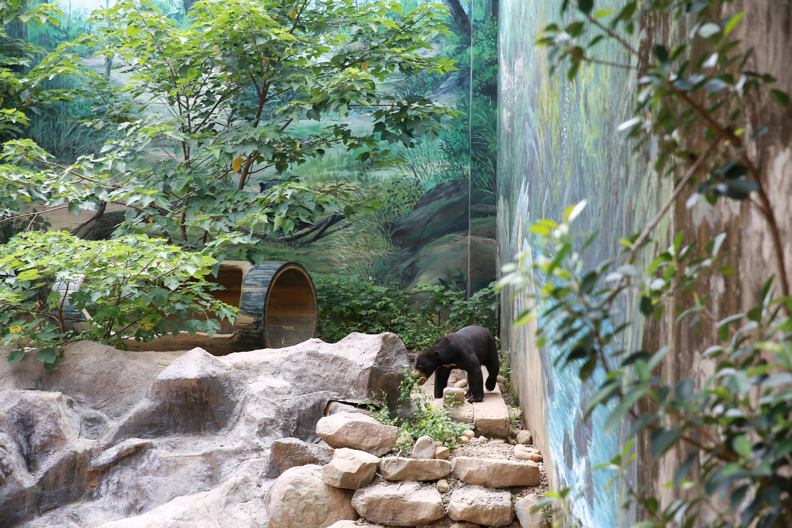 20200614_喜來登＋新竹ZOO | Flickr