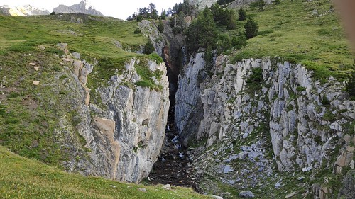 IMG_20200721_074704