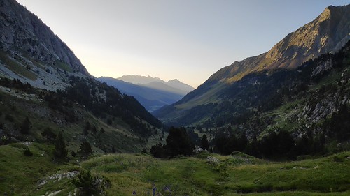 IMG_20200721_073404