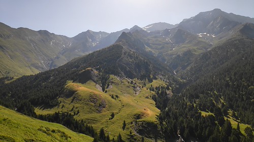 IMG_20200721_105218_1