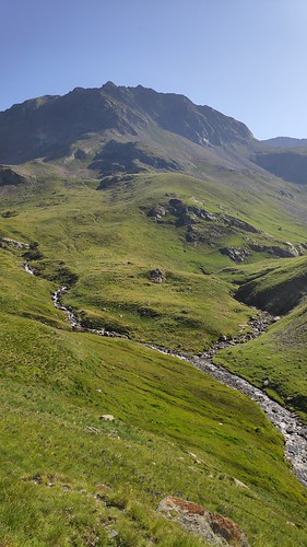 IMG_20200721_100538_1