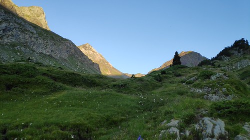 IMG_20200721_073410_1