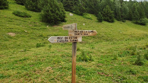 IMG_20200720_155610_1