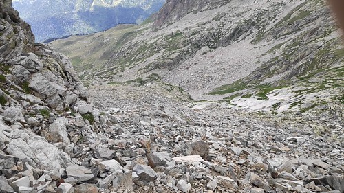 IMG_20200720_133612_1