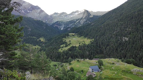 IMG_20200718_072104