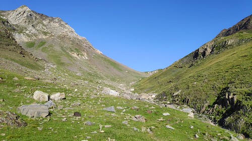 IMG_20200721_080135