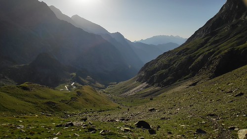 IMG_20200721_082046_1