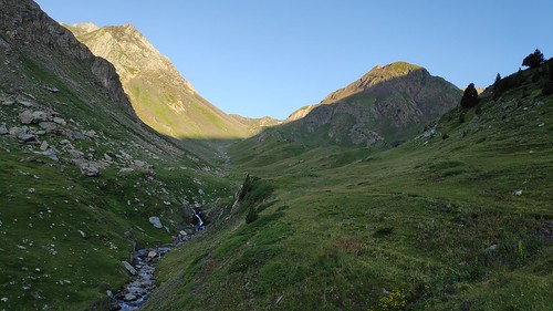 IMG_20200721_074107