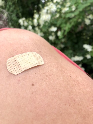 fully vaccinated against TBE, july 21, 2020