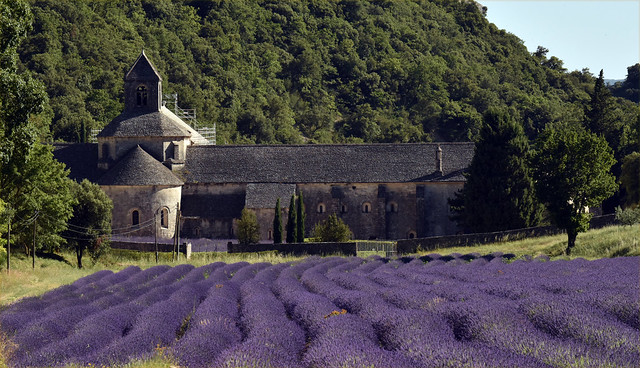 France - Provence - Abbaye Notre-Dame de Sénanque
