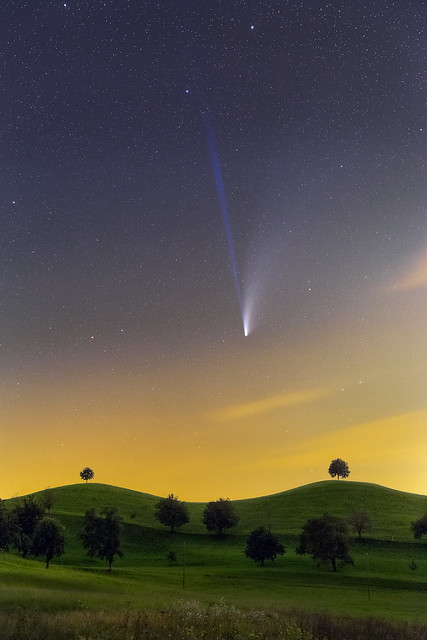 A Comet in Teletubbie Land