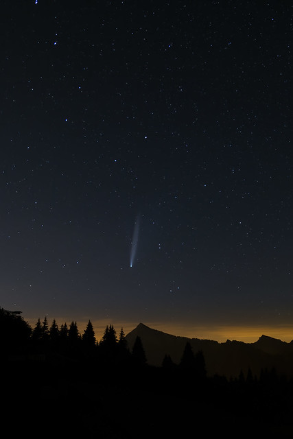 la comète Neowise avec la Grande Ourse - 1