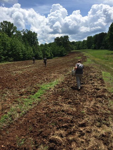 AmeriCorps members seeding land to be used for pollinators