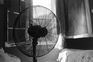My biggest fan | by Jetcraftsofa