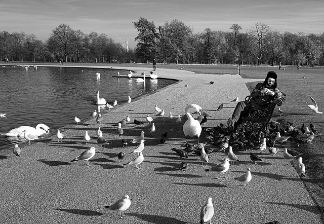 Bird Man, Round Pond, Kensington Gardens