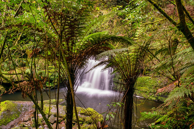 McLean Falls  in the Catlins Forest